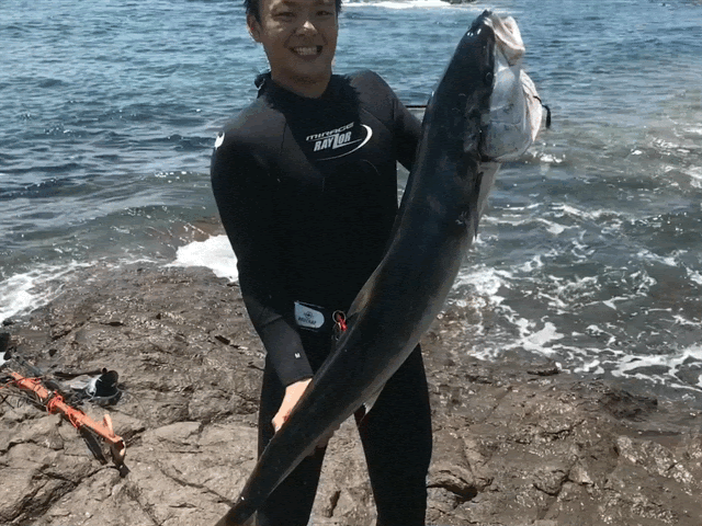 spear fishing dive sites