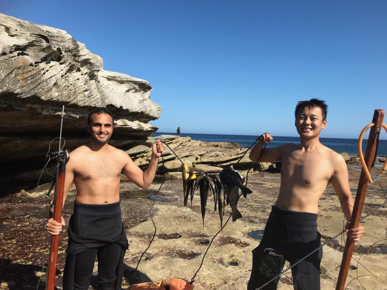 NSW spear fishing