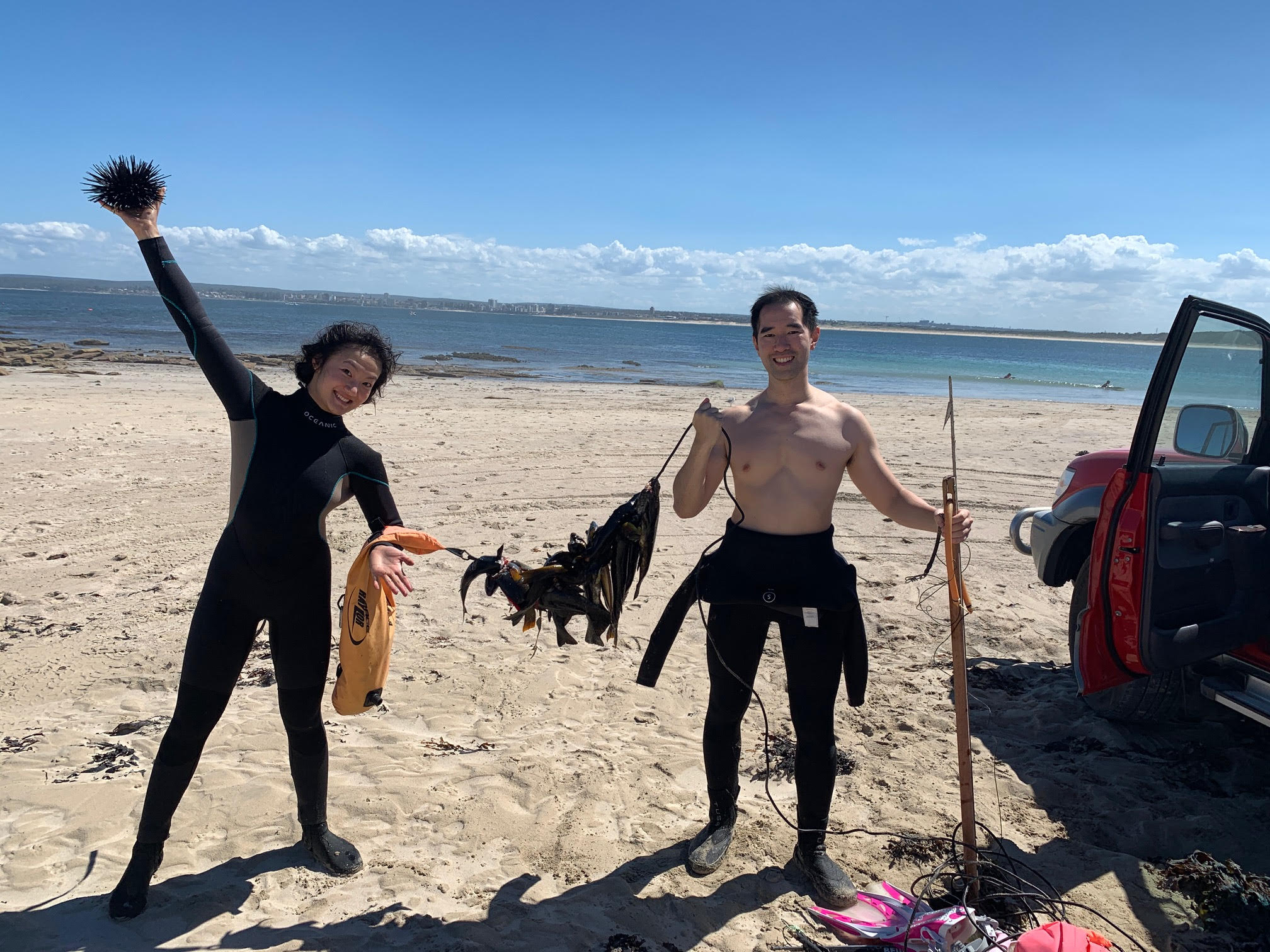 Sydney spear fishing