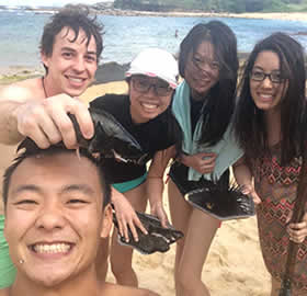 Great tour specials on Sydney's beaches, rocky shores and popular tourist destinations