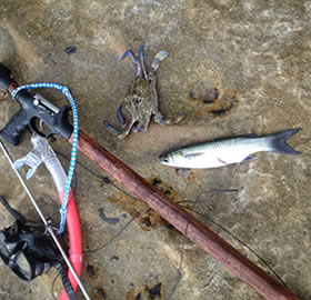 extreme spear fishing