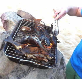 spearfishing gear
