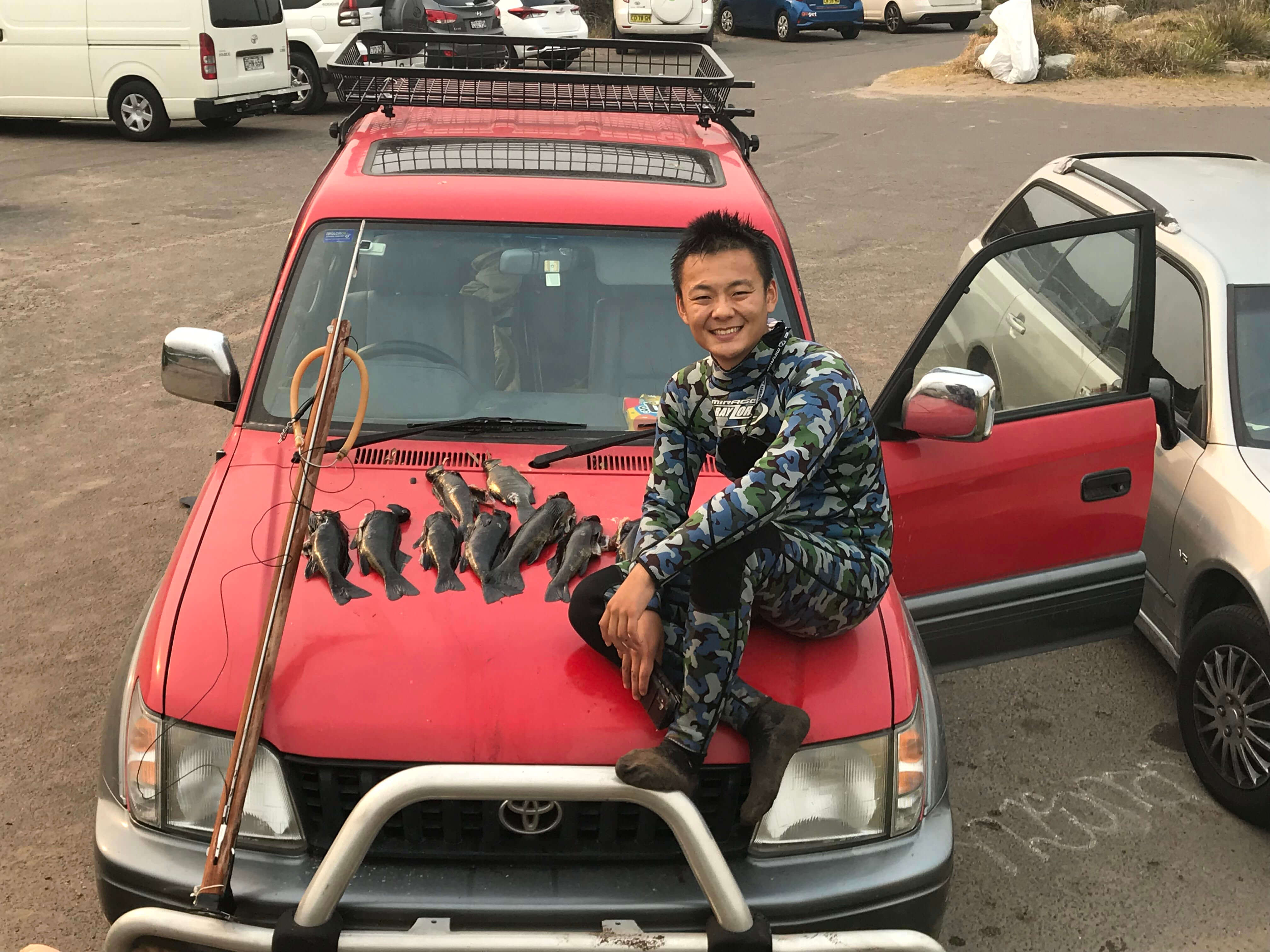 Fish catch from spearfishing lessons in Sydney