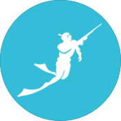 Sydney wide spearfishing